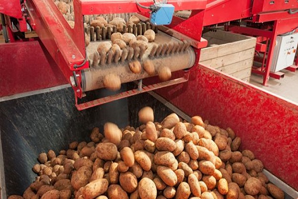 Bio enzyme products in chennai